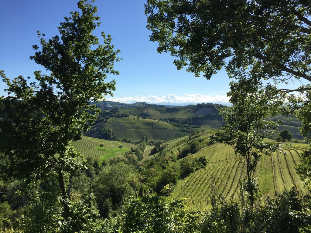 Cascina Alberta 特雷伊索 外观 照片